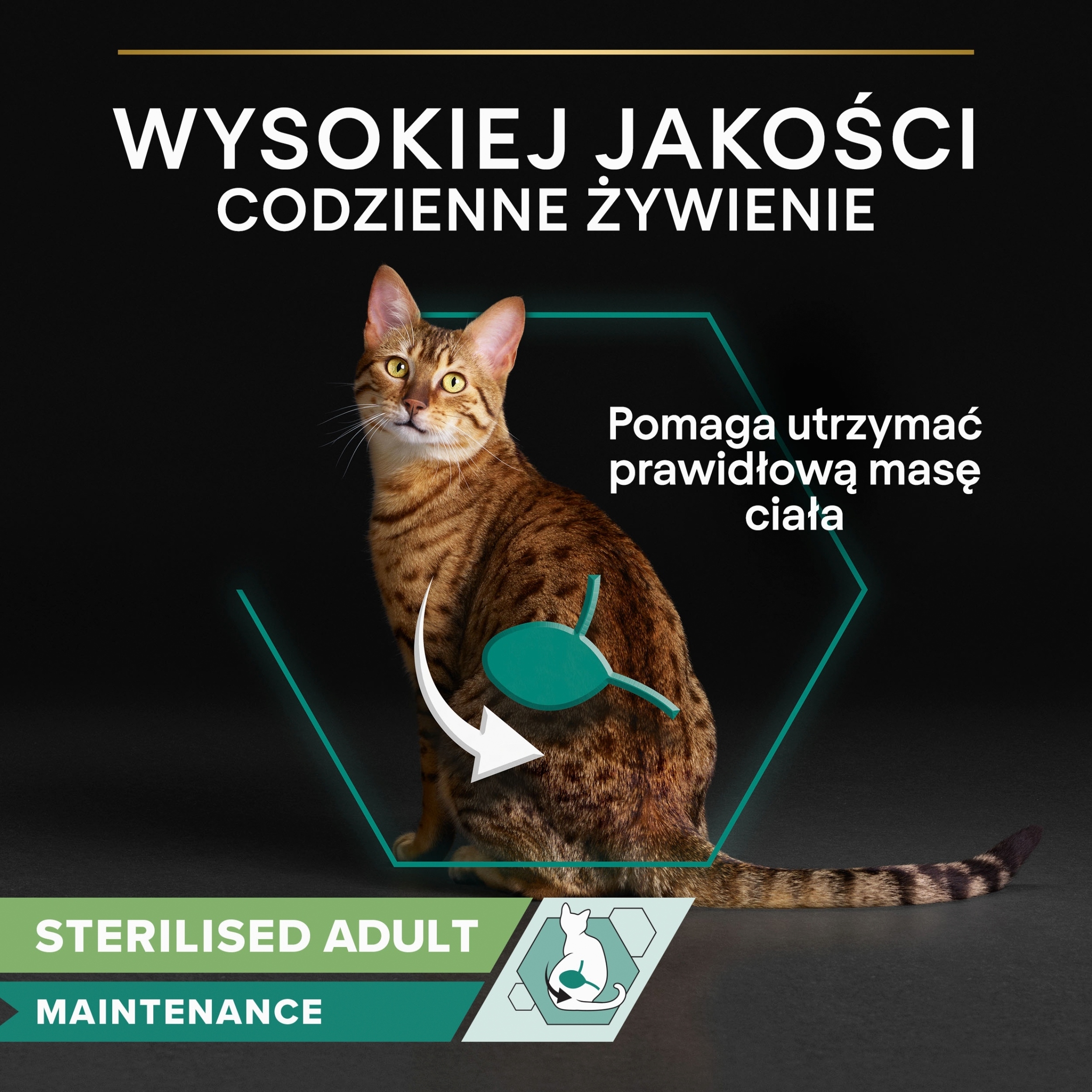 Niskokaloryczna karma dla utrzymania prawidłowej wagi