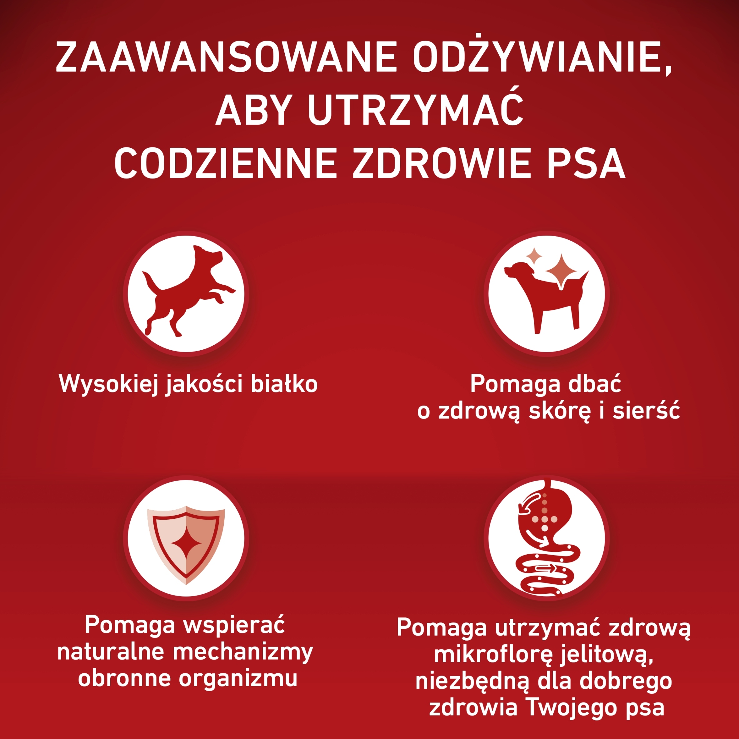 Wsparcie zdrowia jelit – Pulpa buraczana dla lepszej mikroflory