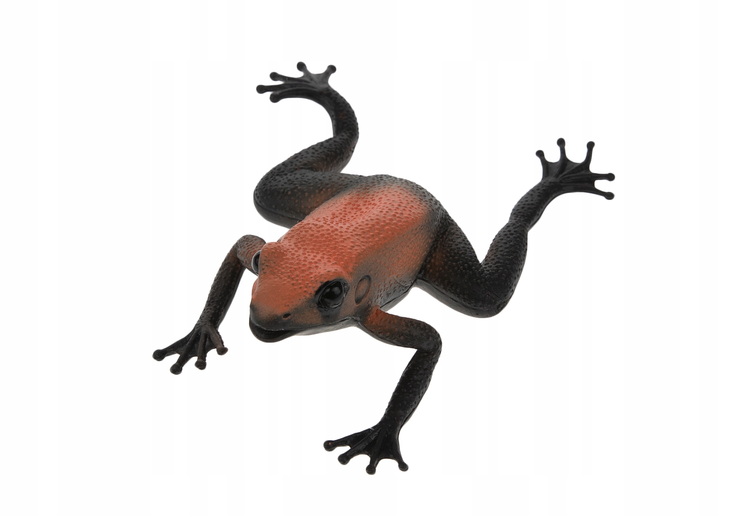Obrazek