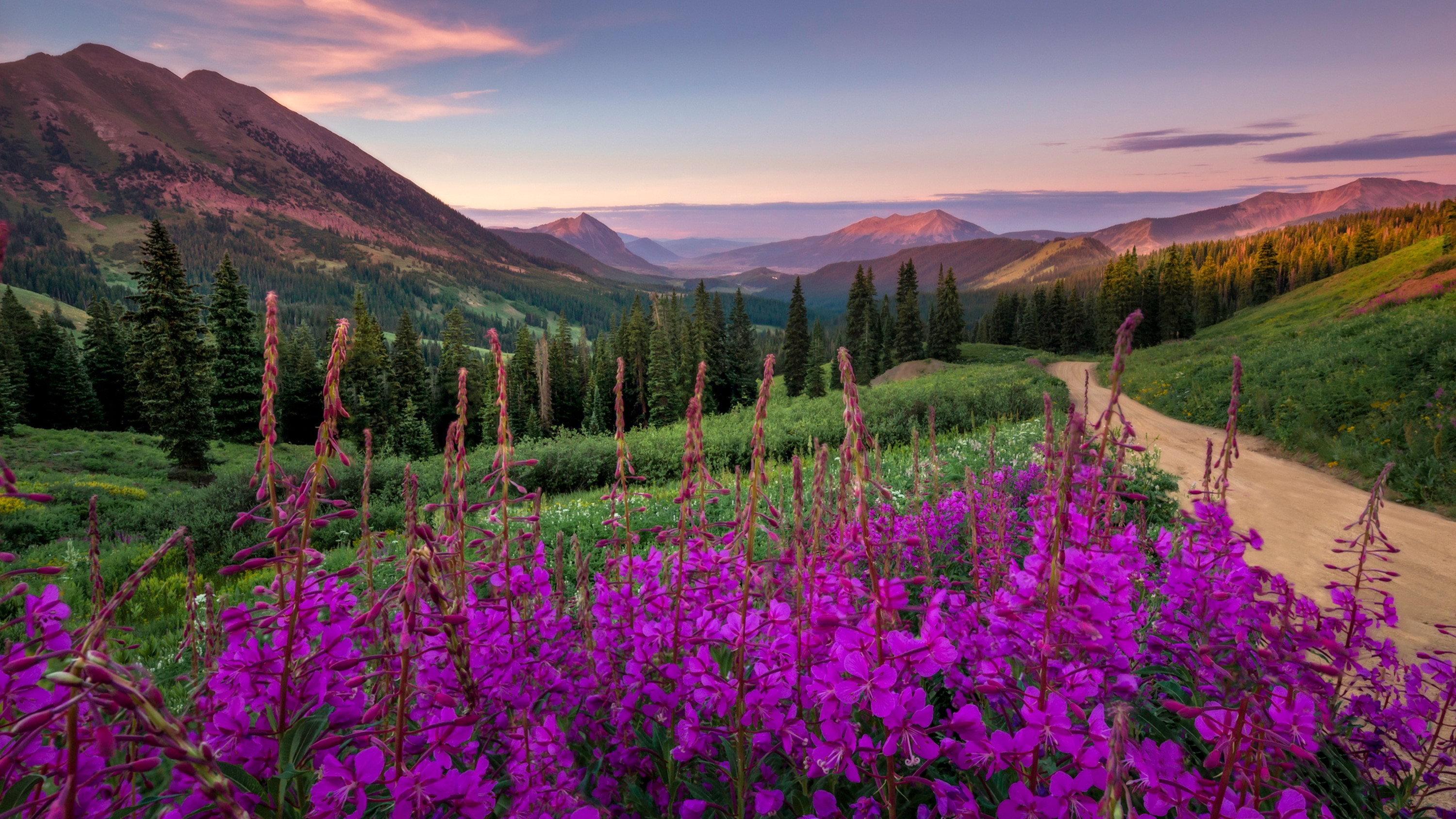 Technologia IPS – Szerokie kąty widzenia i żywe kolory