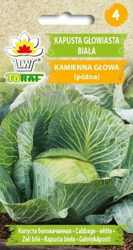 Toraf Nasiona warzyw | Kapusta Głowiasta Biała Kamienna Głowa – Idealna do Twojego Ogrodu