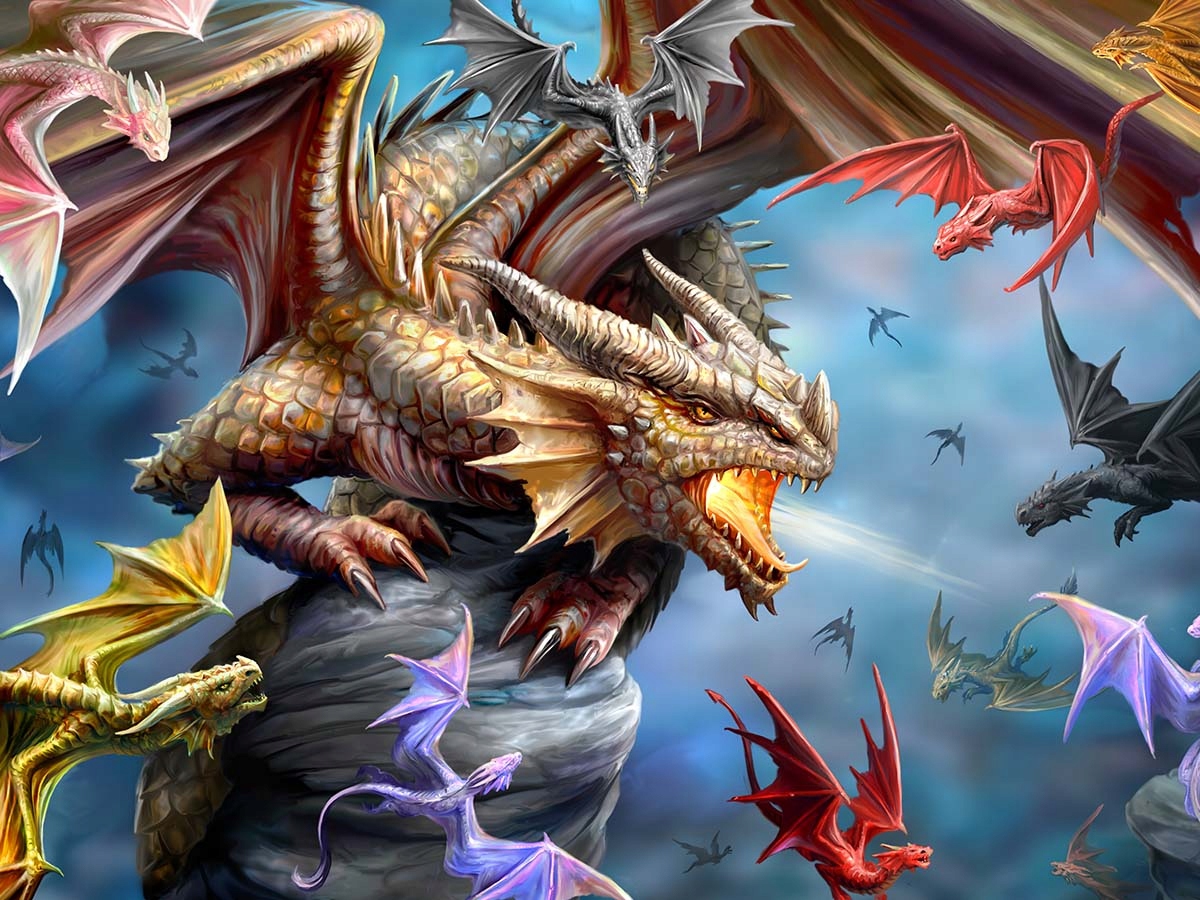 Kolekcja Dragon – Odkryj magiczny świat