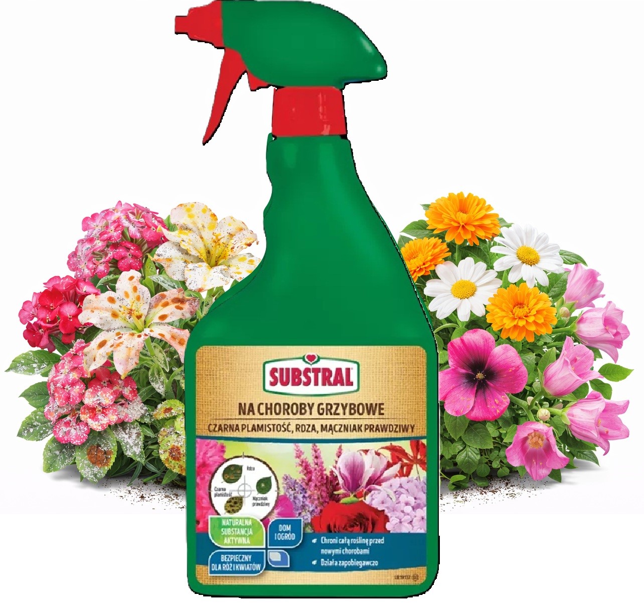 Substral Kwiaty Ochrona choroby grzybowe 750 ml – Skuteczna ochrona roślin ozdobnych