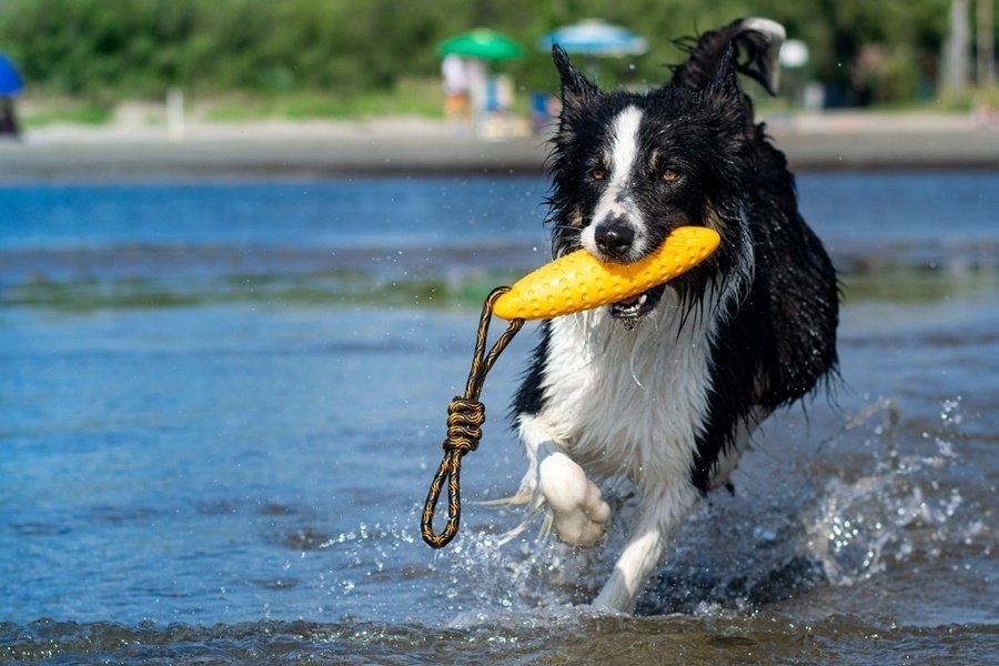 Wodoodporny i trwały materiał TPR