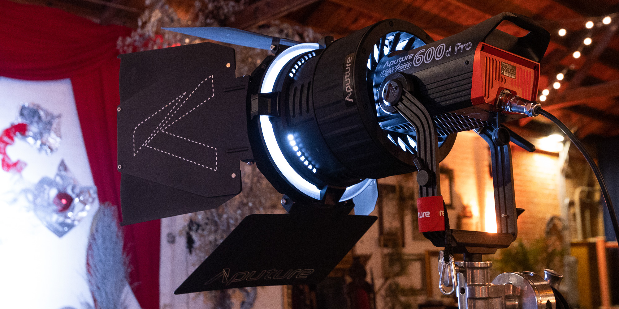 Wrota Aputure F10 Barn Doors