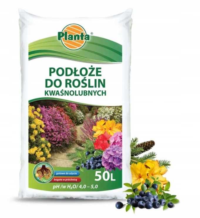 Właściwości uodparniające roślin