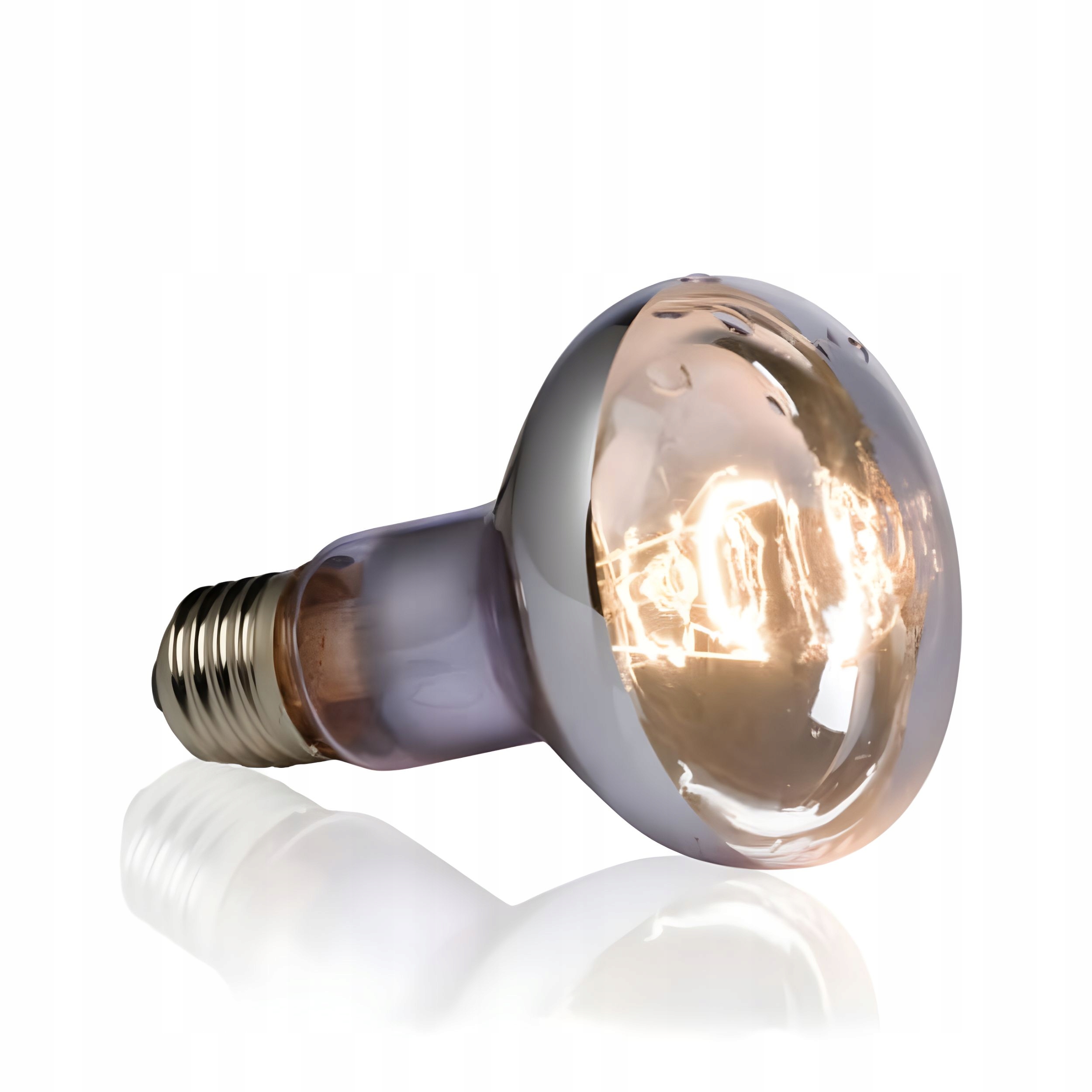 Efektywność energetyczna i trwałość – Ekonomiczny wybór dla miłośników terrarystyki