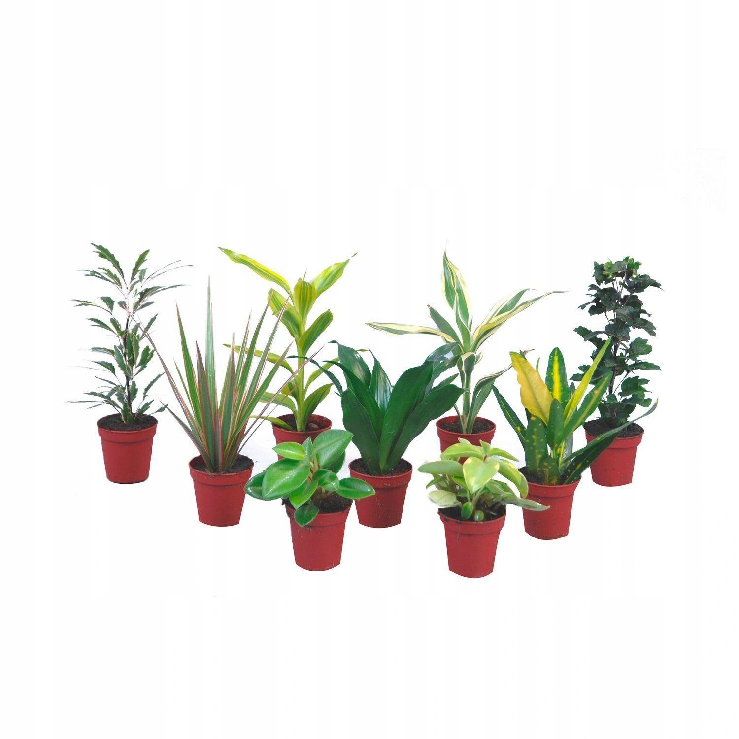 Biologicznie czysty nawóz organiczny