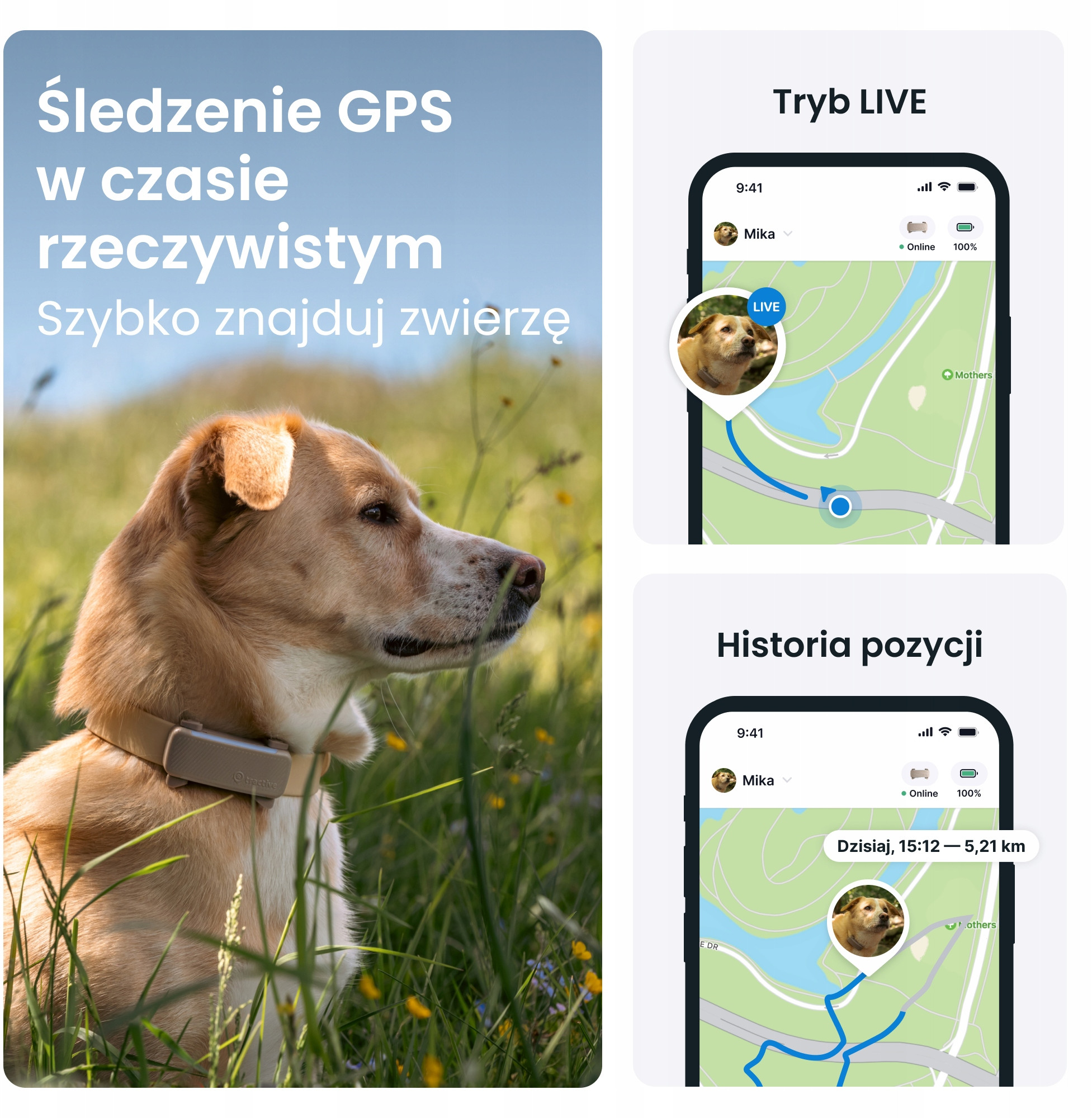 Aplikacja mobilna i funkcje stref bezpieczeństwa