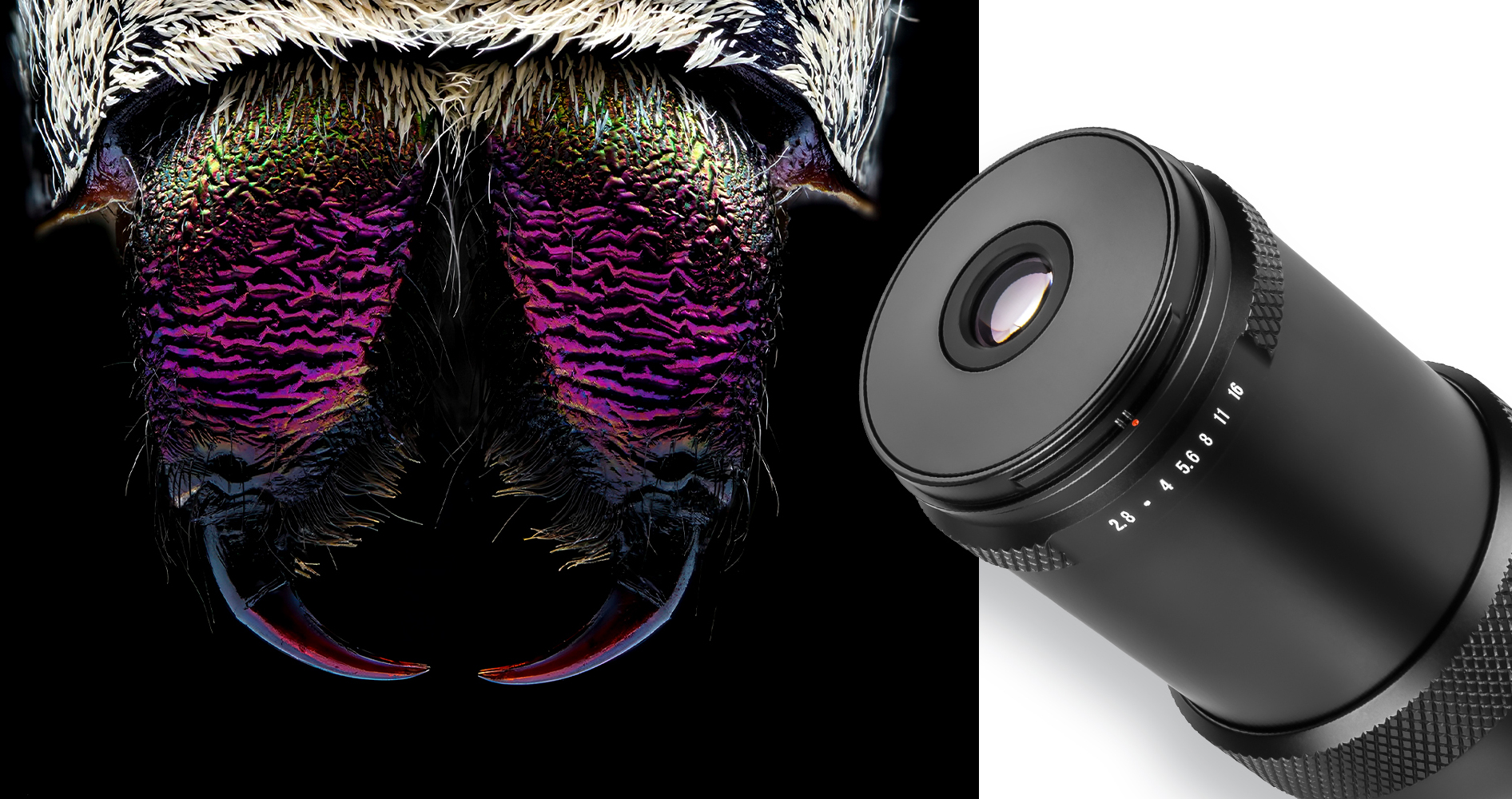 Obiektyw AstrHori MF 25 mm f/2,8 Full-frame Macro do Nikon Z