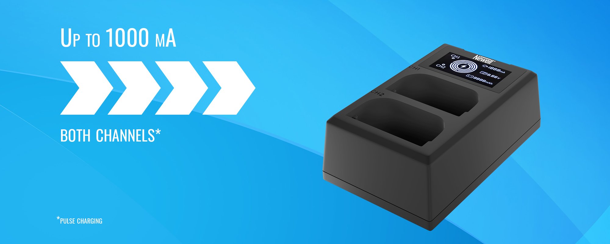 Ładowarka dwukanałowa Newell FDL-USB-C do akumulatorów