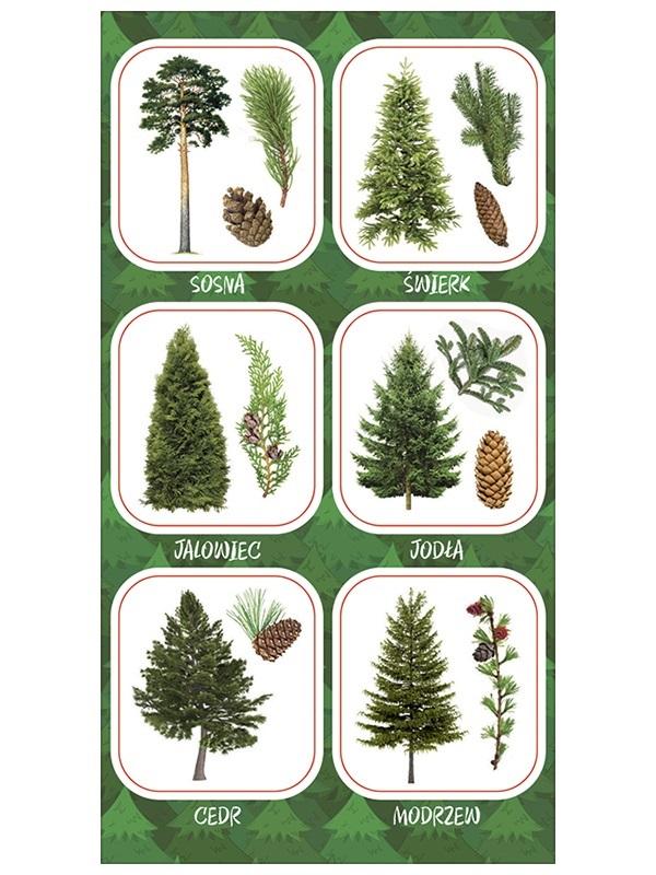 Idealne do scrapbookingu i prac plastycznych