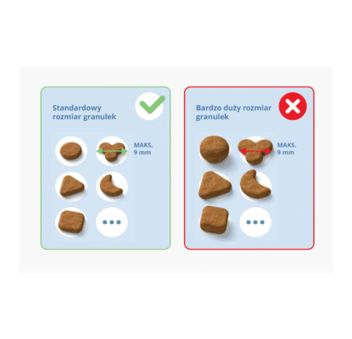 Kompatybilność z suchą karmą i przysmakami