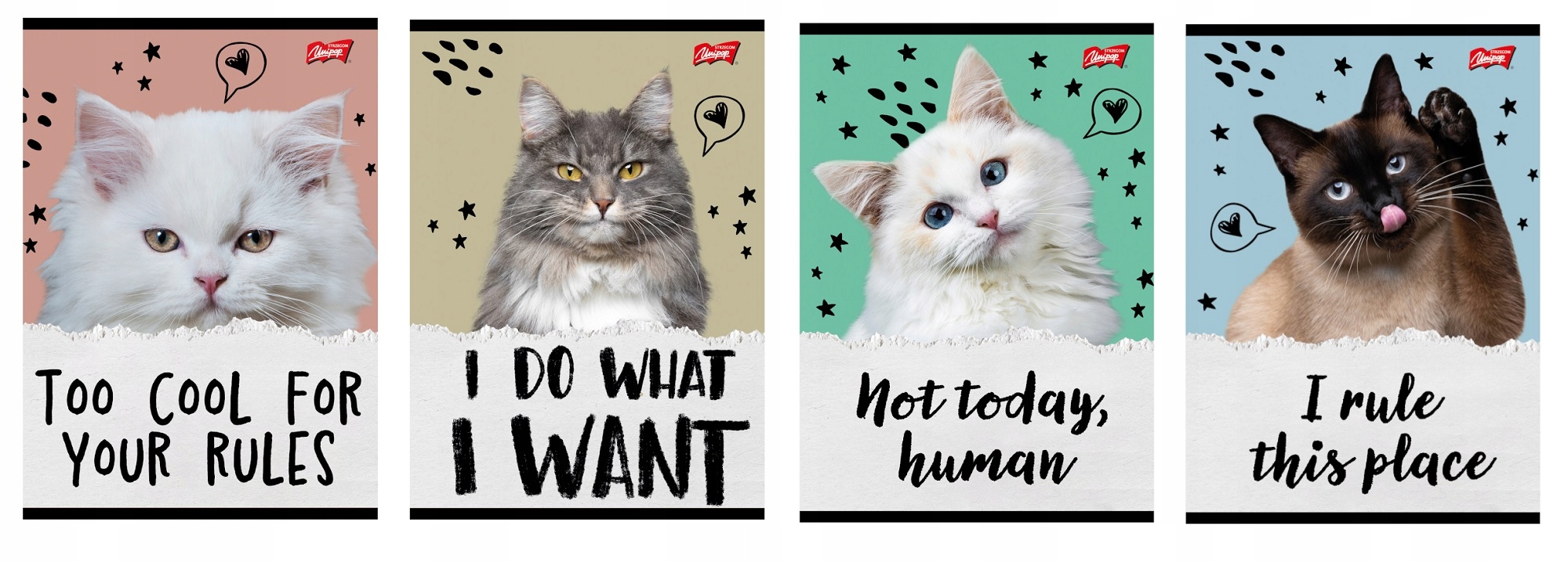 Zeszyt A5/32K kratka Caturday – Uroczy towarzysz Twoich notatek