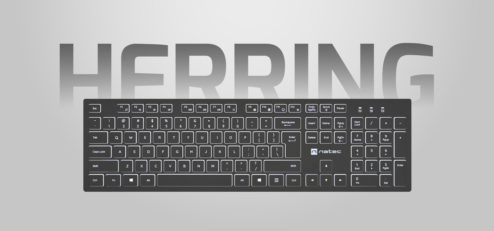 Klawiatura z białym podświetleniem i pełnym zestawem klawiszy na jasnoszarym tle