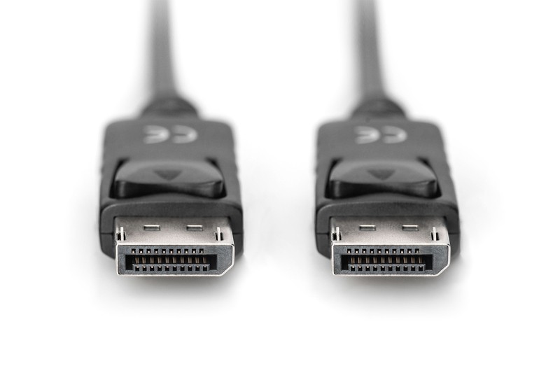Złącza i standardy – DisplayPort 1.1a z męskimi złączami