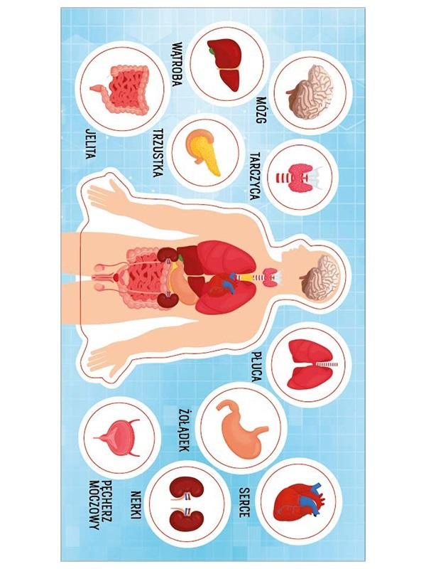 Naklejki Anatomia Człowieka – Kreatywna zabawa dla dzieci