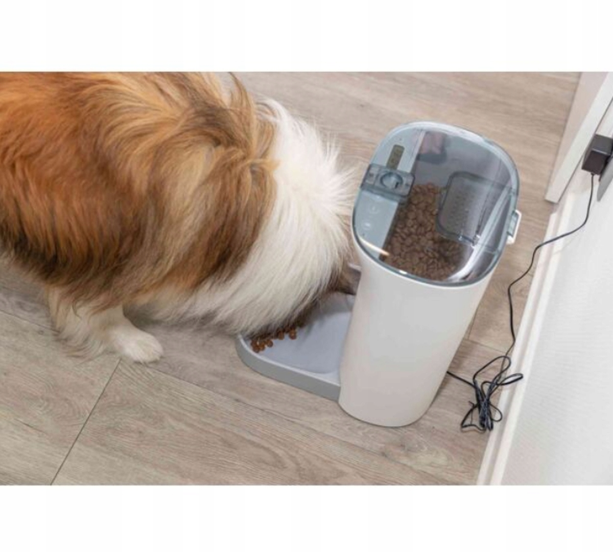 Inteligentne sterowanie za pomocą aplikacji