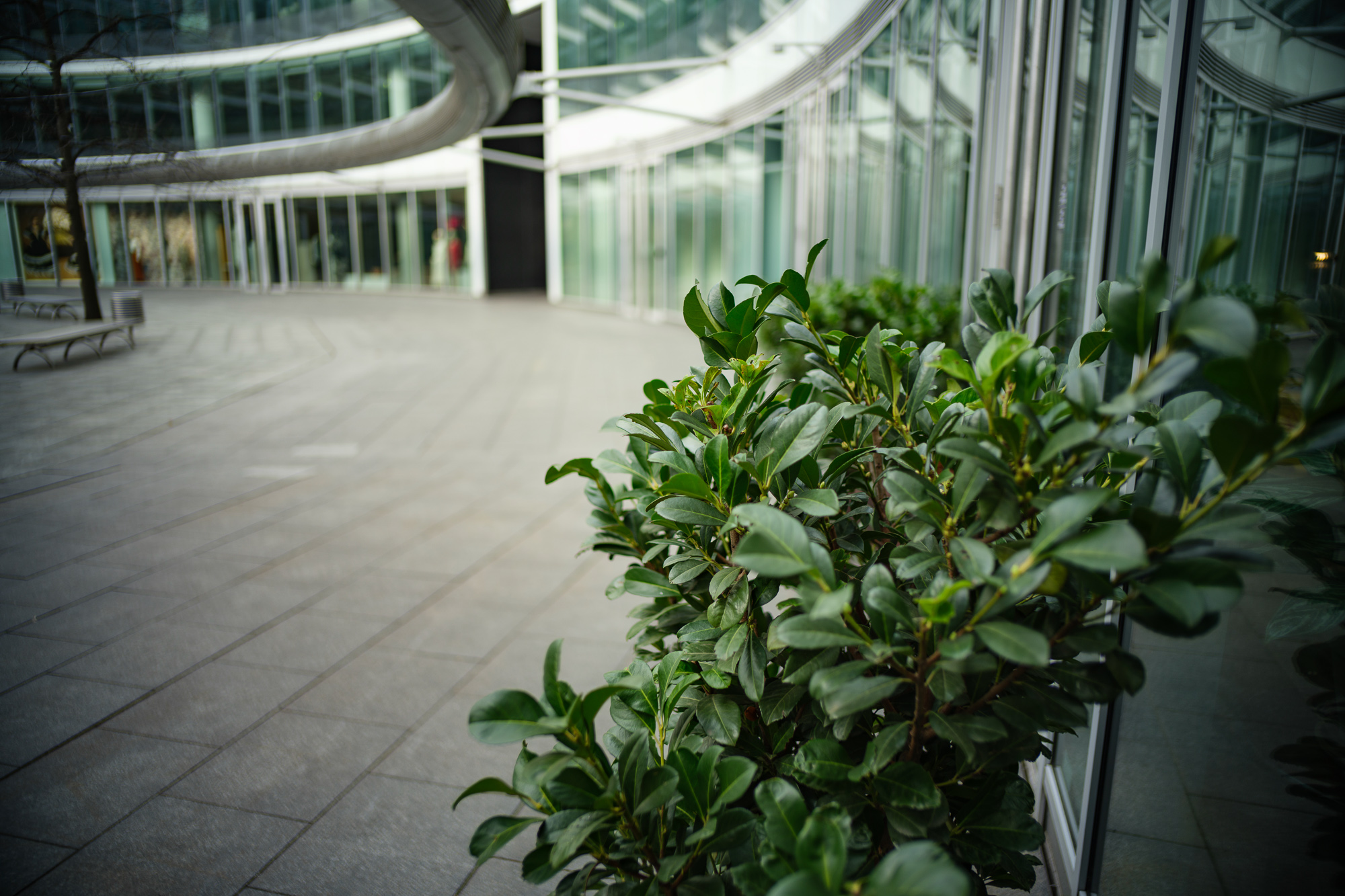 Obiektyw Voigtlander Nokton II Vintage Line 28 mm f/1,5 do Leica M - czarny