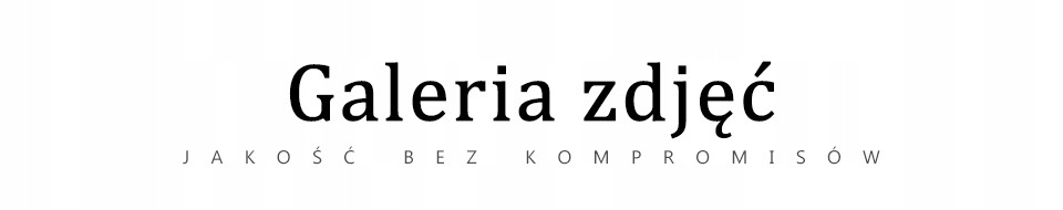 Zdjęcie