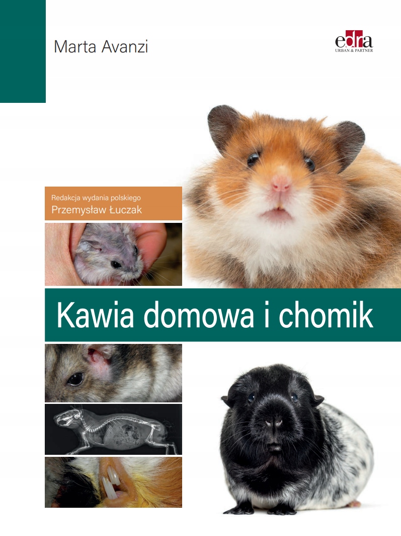 Najczęściej występujące choroby i metody leczenia