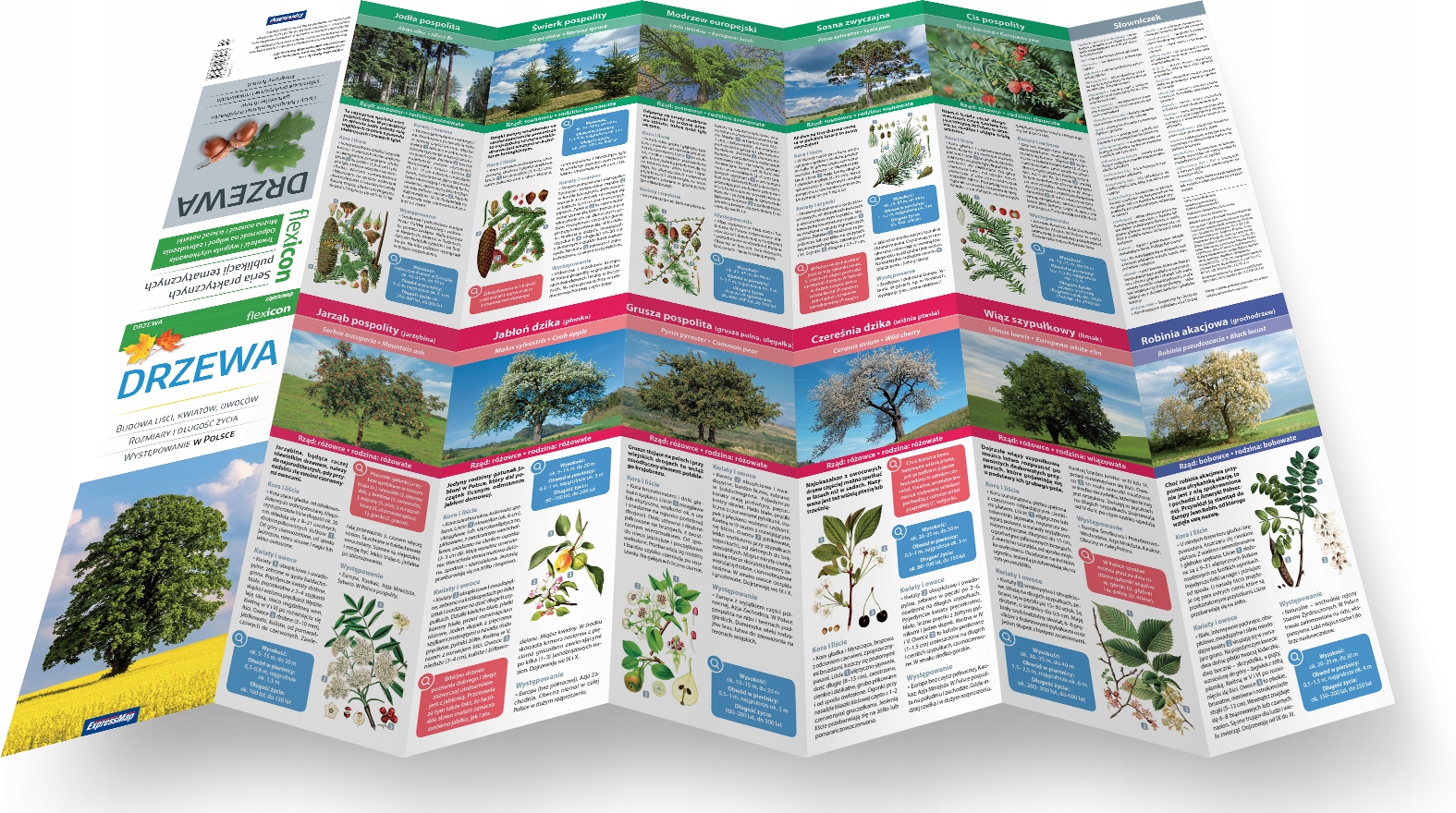 Fascynujące atrakcje Sycylii – Od starożytności po barok