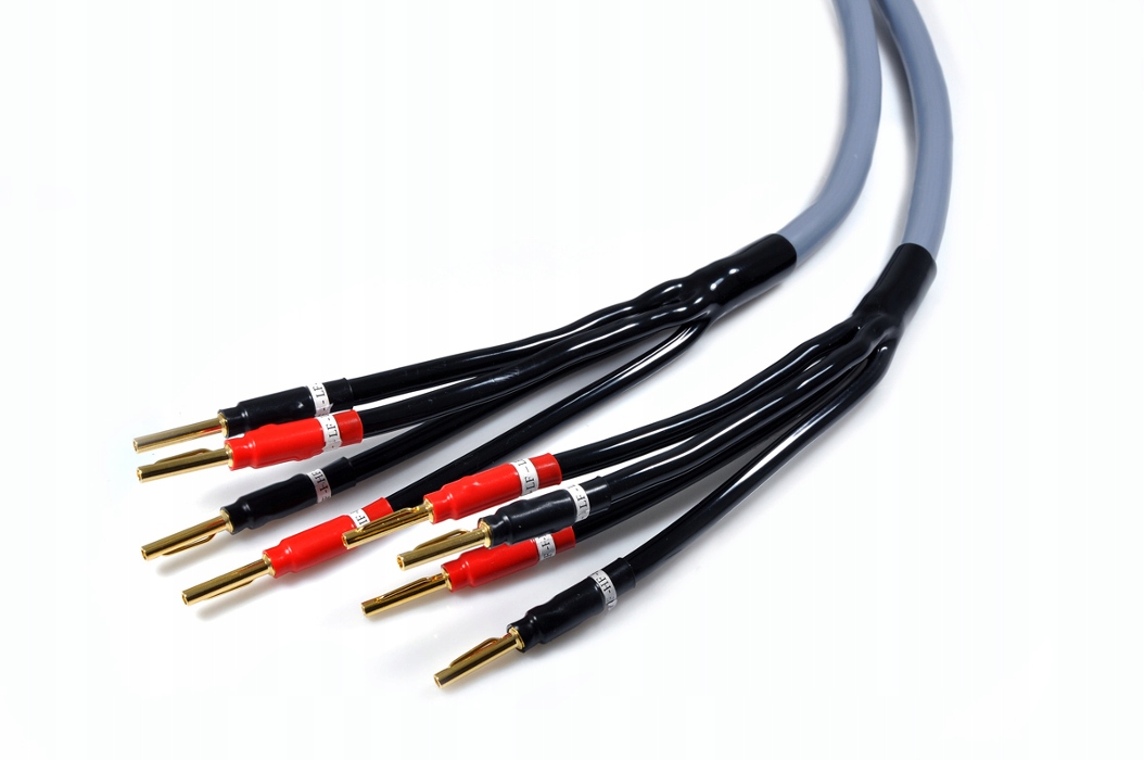 Technologia bi-amping i bi-wiring – Zwiększona jakość audio