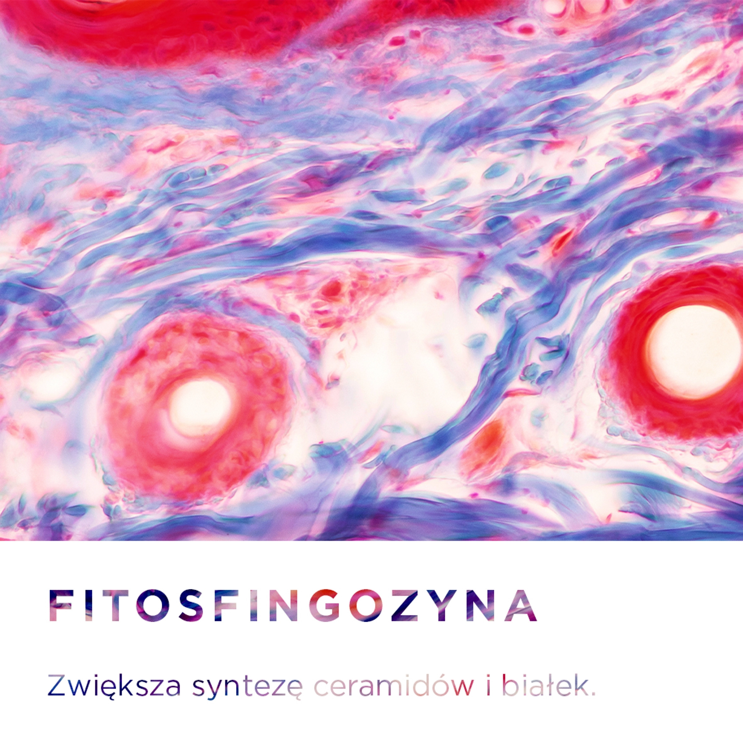 Wzmacnianie bariery ochronnej skóry – Kluczowe działanie kremu