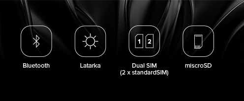 MyPhone Maestro
