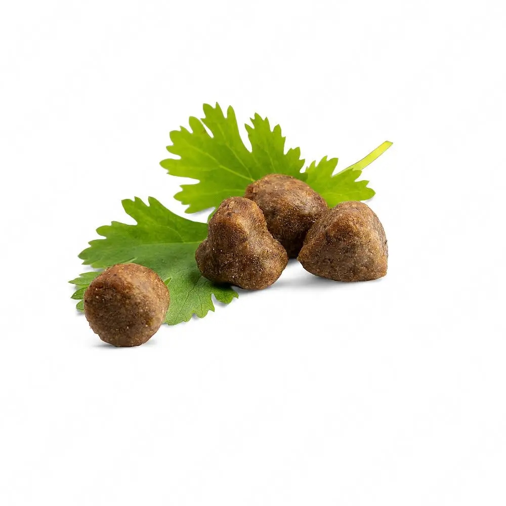 Naturalne składniki wspierające zdrowie kota