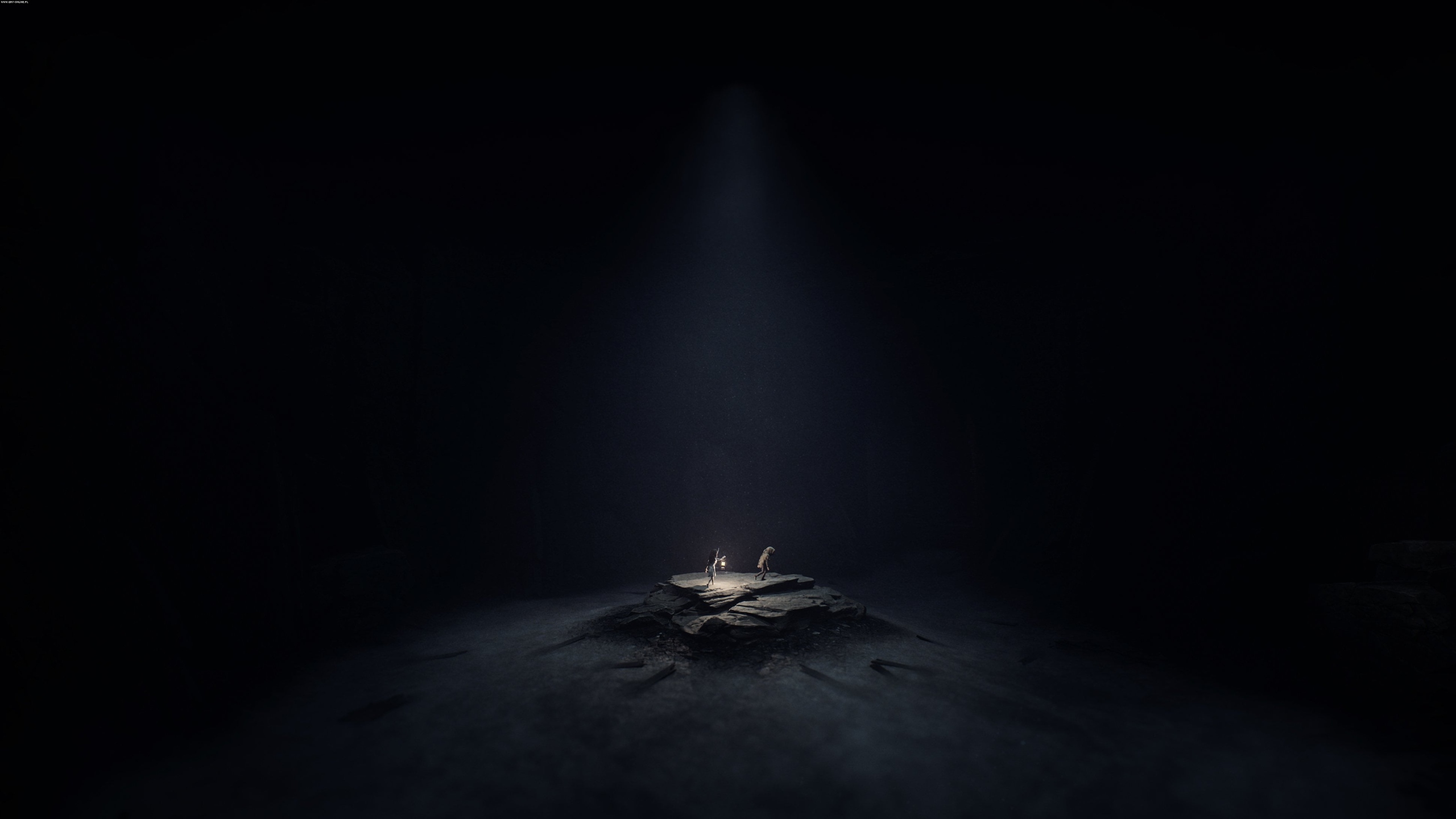 Tematyka i gatunek gry REANIMAL