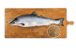 Ikona składnika: Łosoś