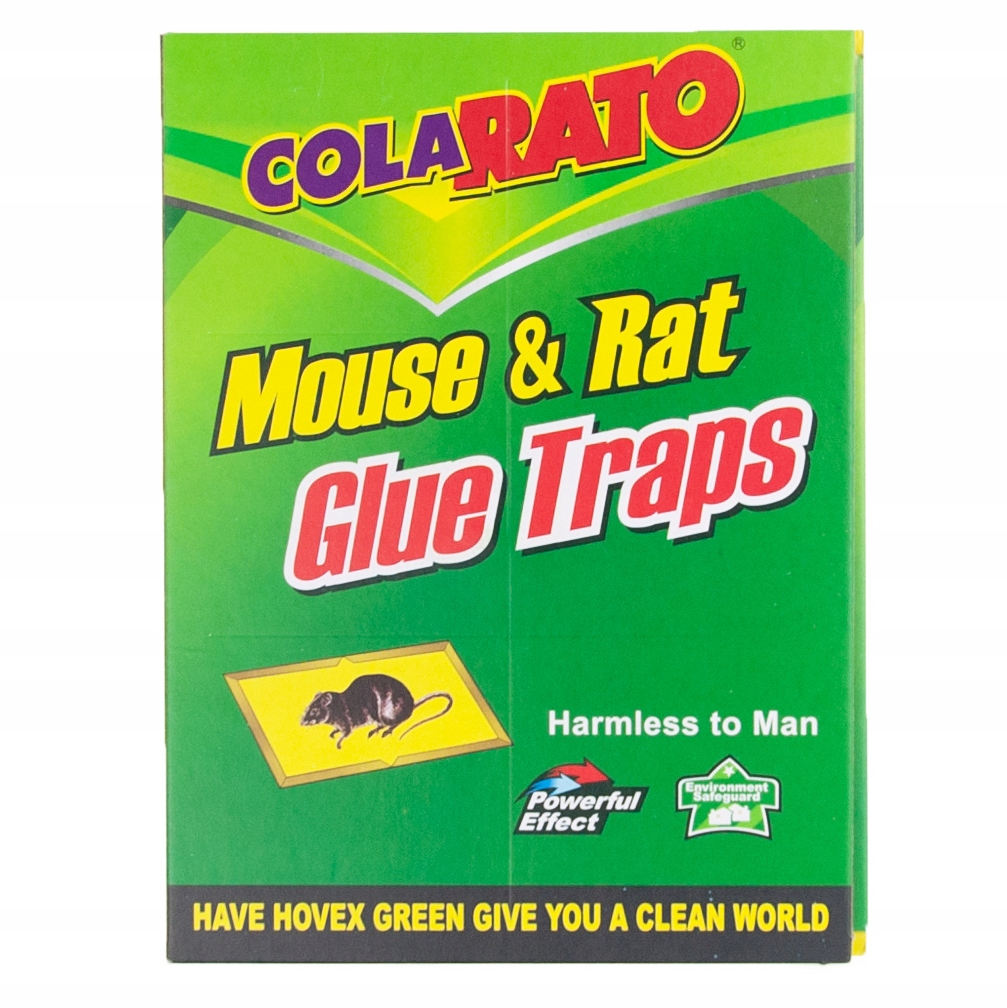 Lep pułapka na myszy klejąca – Skuteczna ochrona przed gryzoniami