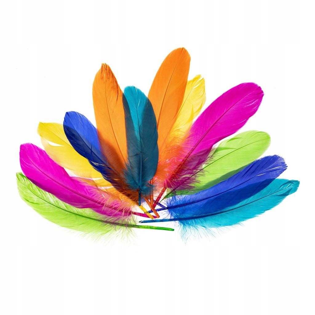 Zastosowanie piórek w rękodziele