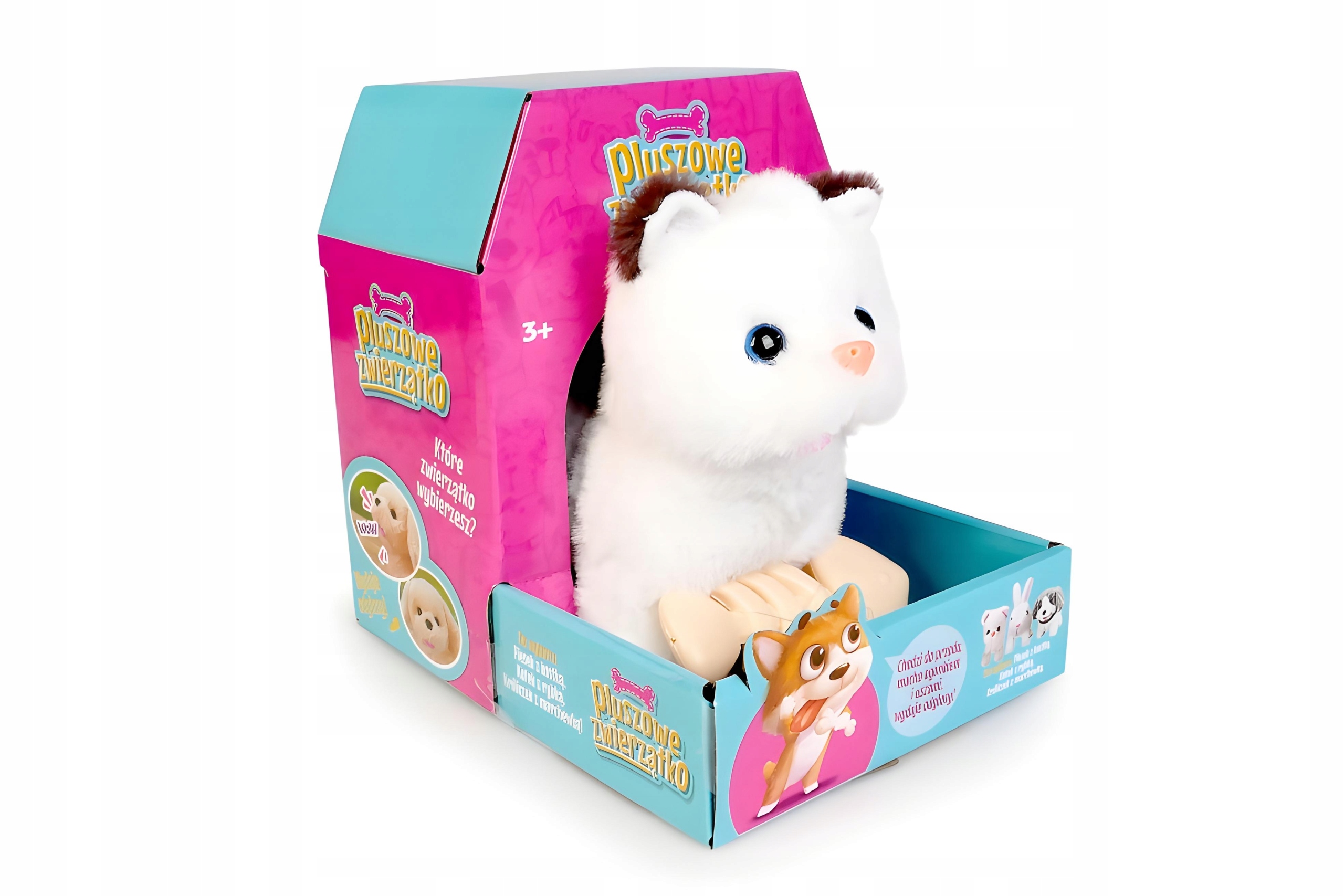 Zawartość zestawu – co znajdziesz w opakowaniu?