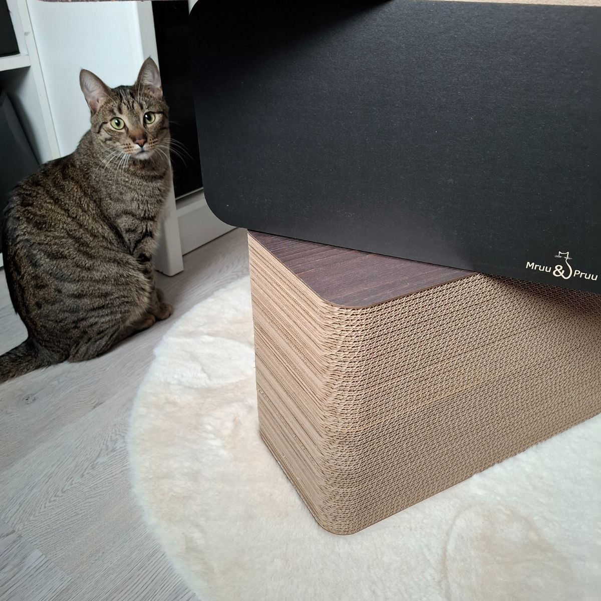 Stabilność i wytrzymałość – Maksymalne obciążenie do 100 kg