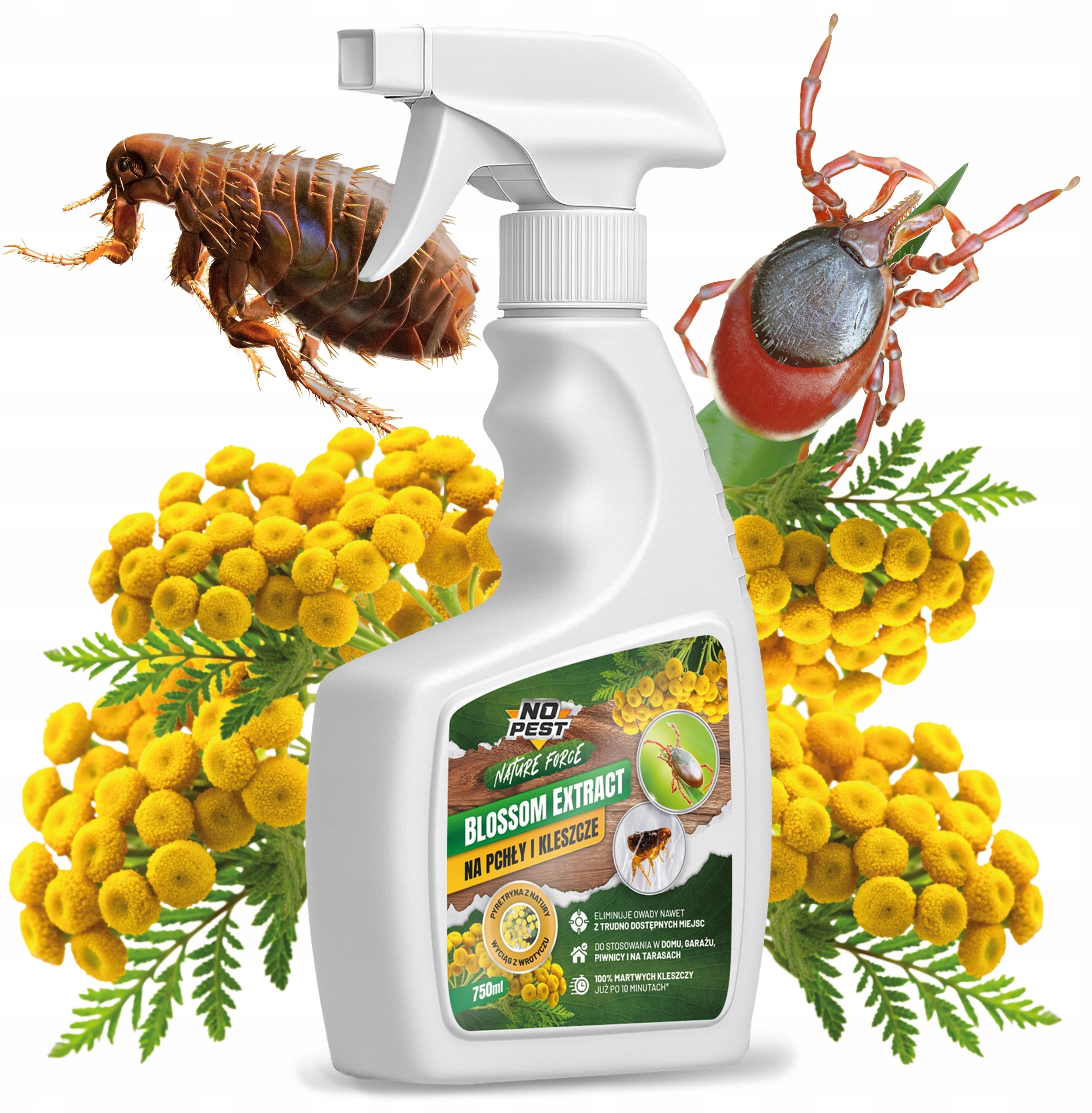 Środek Preparat Spray Płyn na Pchły Kleszcze Owady Ekstrakt Wyciąg z Wrotyczu Blossom Extract 750ml* – Ochrona Przed Szkodnikami