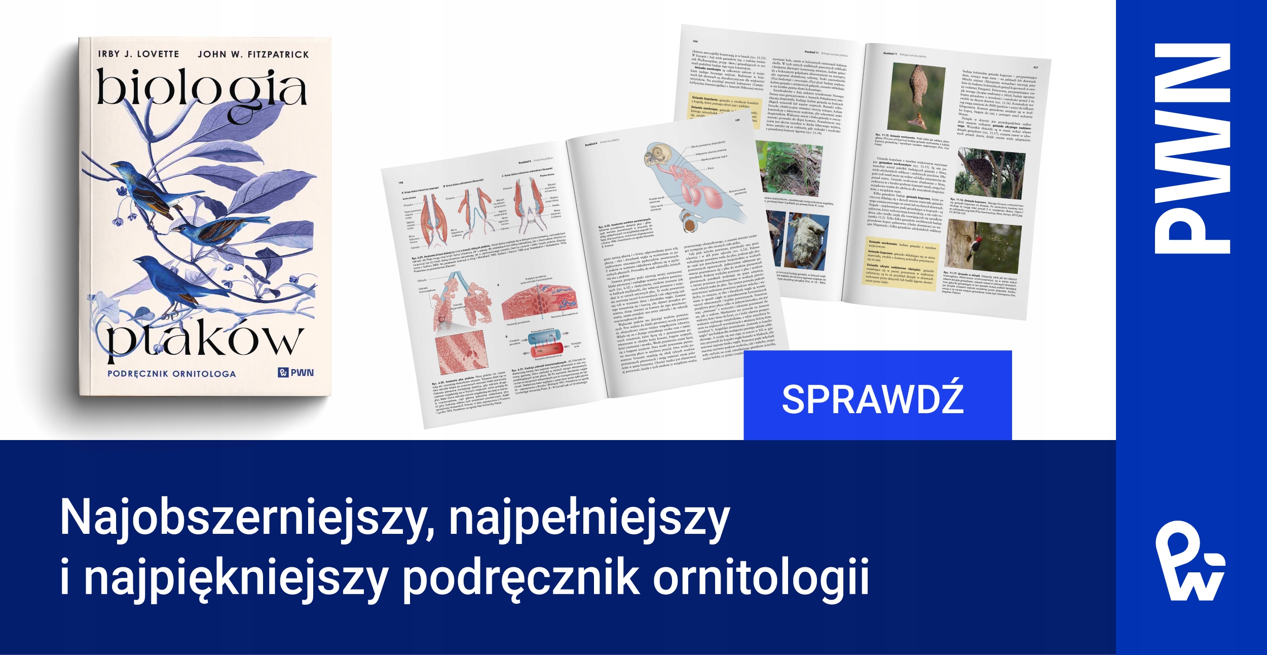 Multimedia w nauce – Zasoby online uzupełniające wiedzę