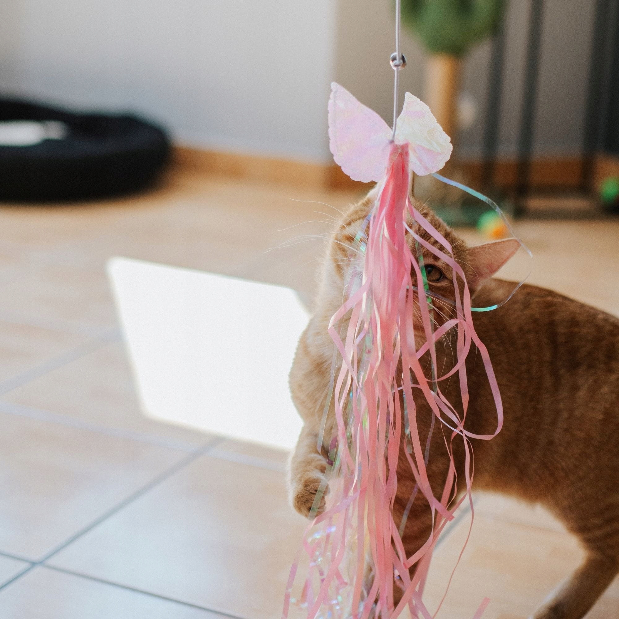 Dingo Wędka dla Kota "Butterfly" – Zabawka, która pobudza instynkty łowieckie
