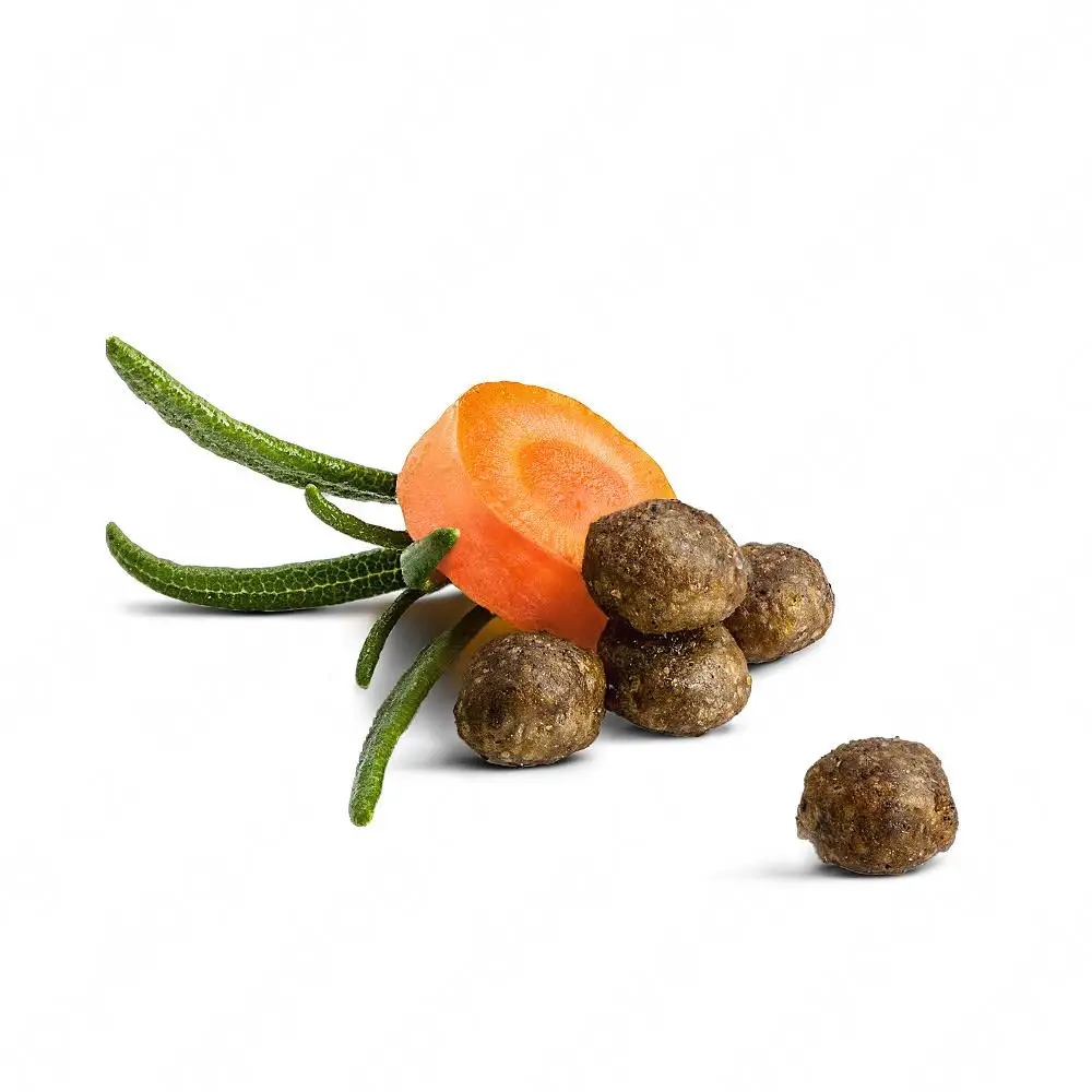 Małe krokiety dostosowane do potrzeb kociąt