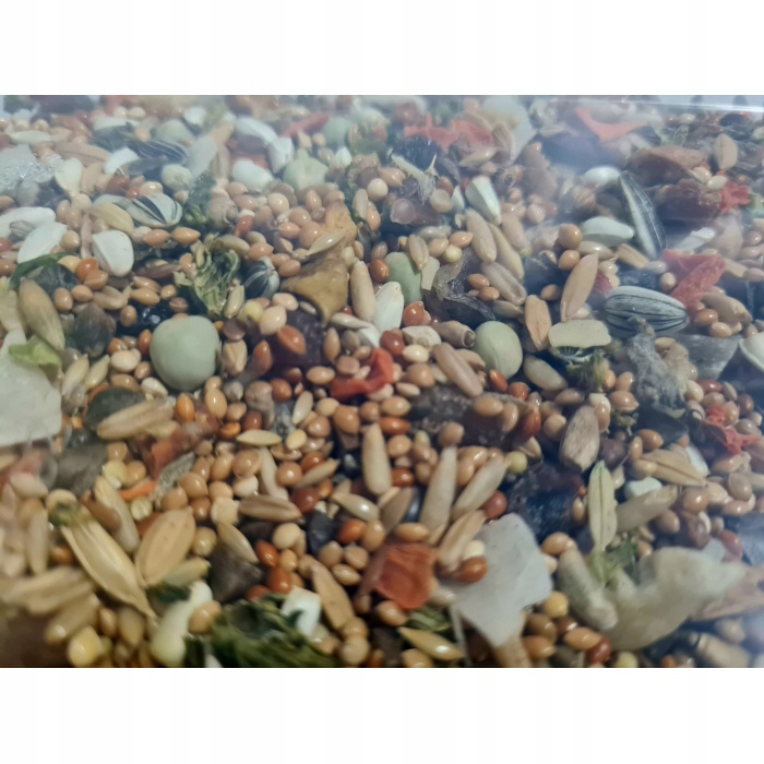 Składniki odżywcze dla zdrowia Twojego ptaka