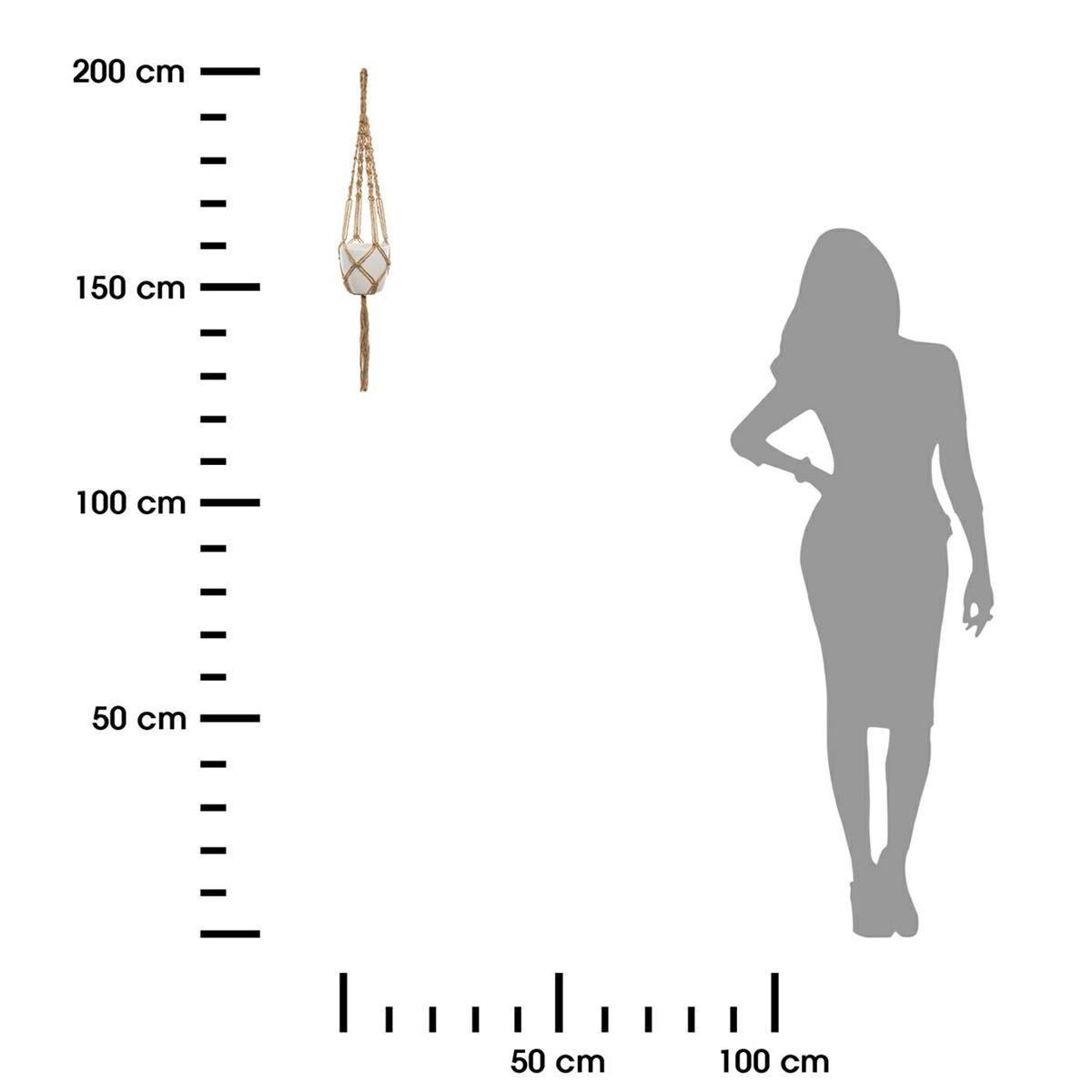 312394.jpg
