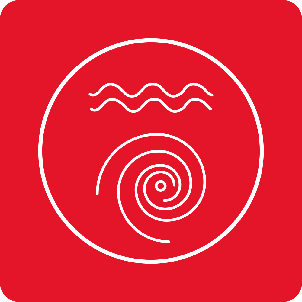 Program Płukanie + wirowanie