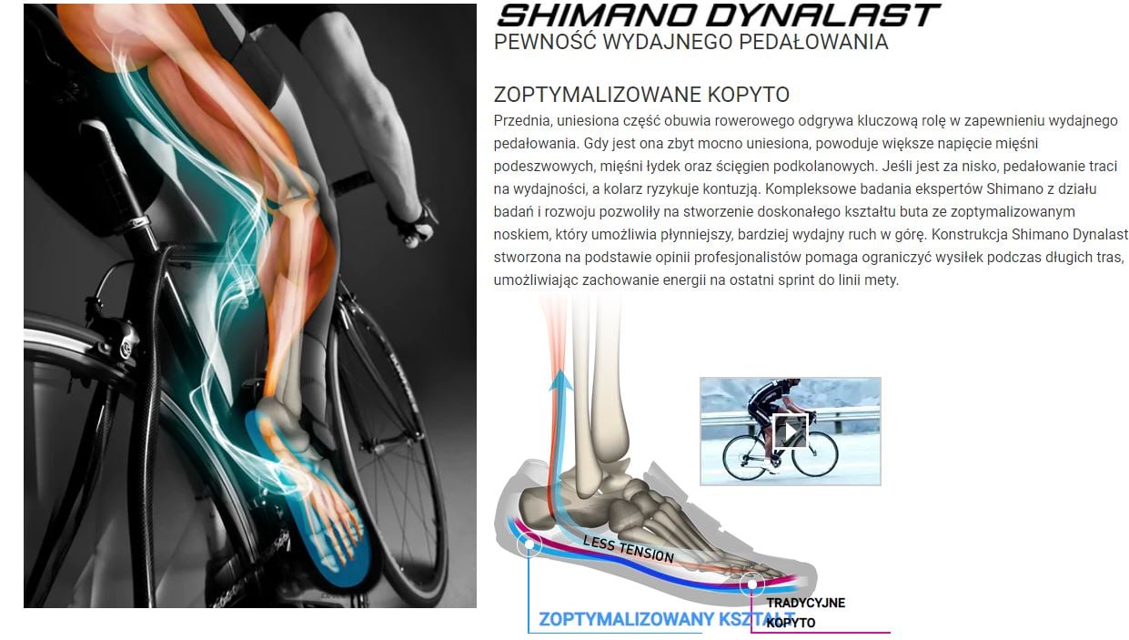 Shimano_Dynalast.JPG?v=1604308374328