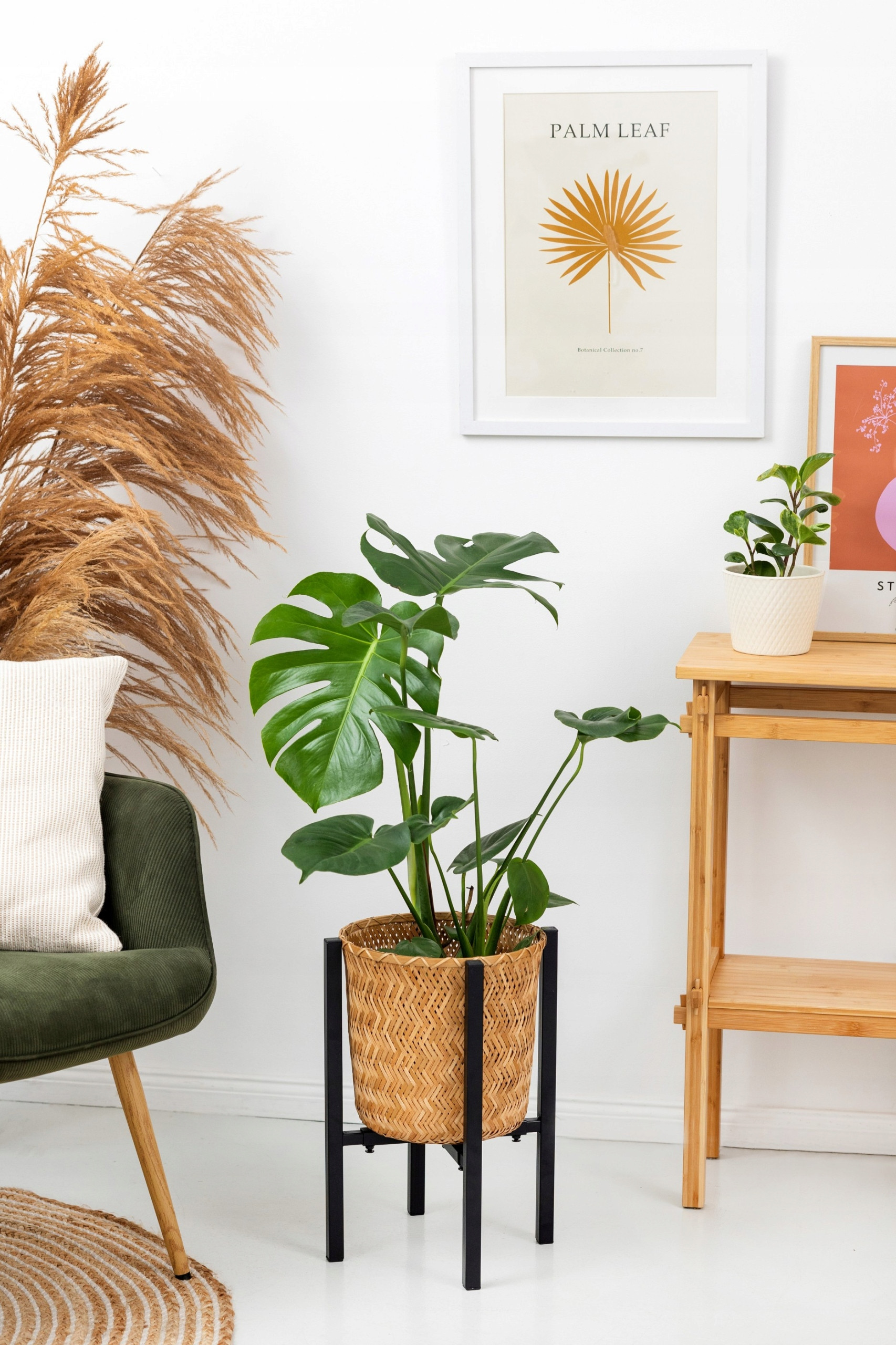 Wszechstronność i regulacja – Idealne dopasowanie do każdej donicy