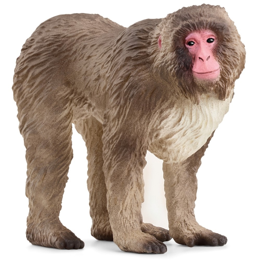 Figurka Schleich Figurka makak japoński Wild Life – Odkryj świat dzikiej przyrody