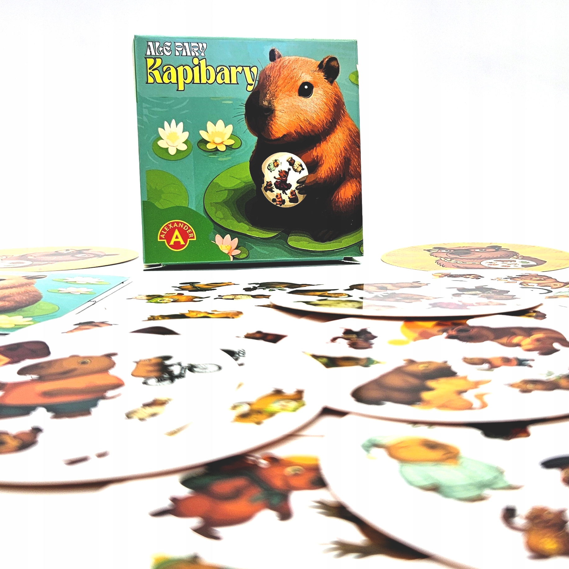 Skład zestawu – Co znajdziesz w opakowaniu?