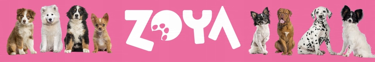 Zbilansowana dieta dla psów wszystkich ras