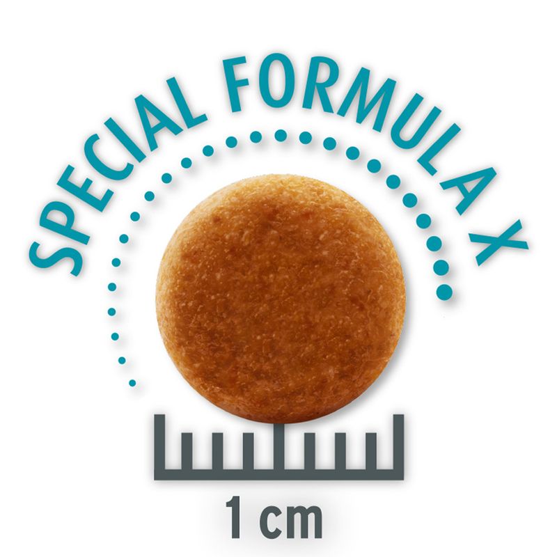 Specjalnie skomponowany skład dla kotów z problemami trawiennymi