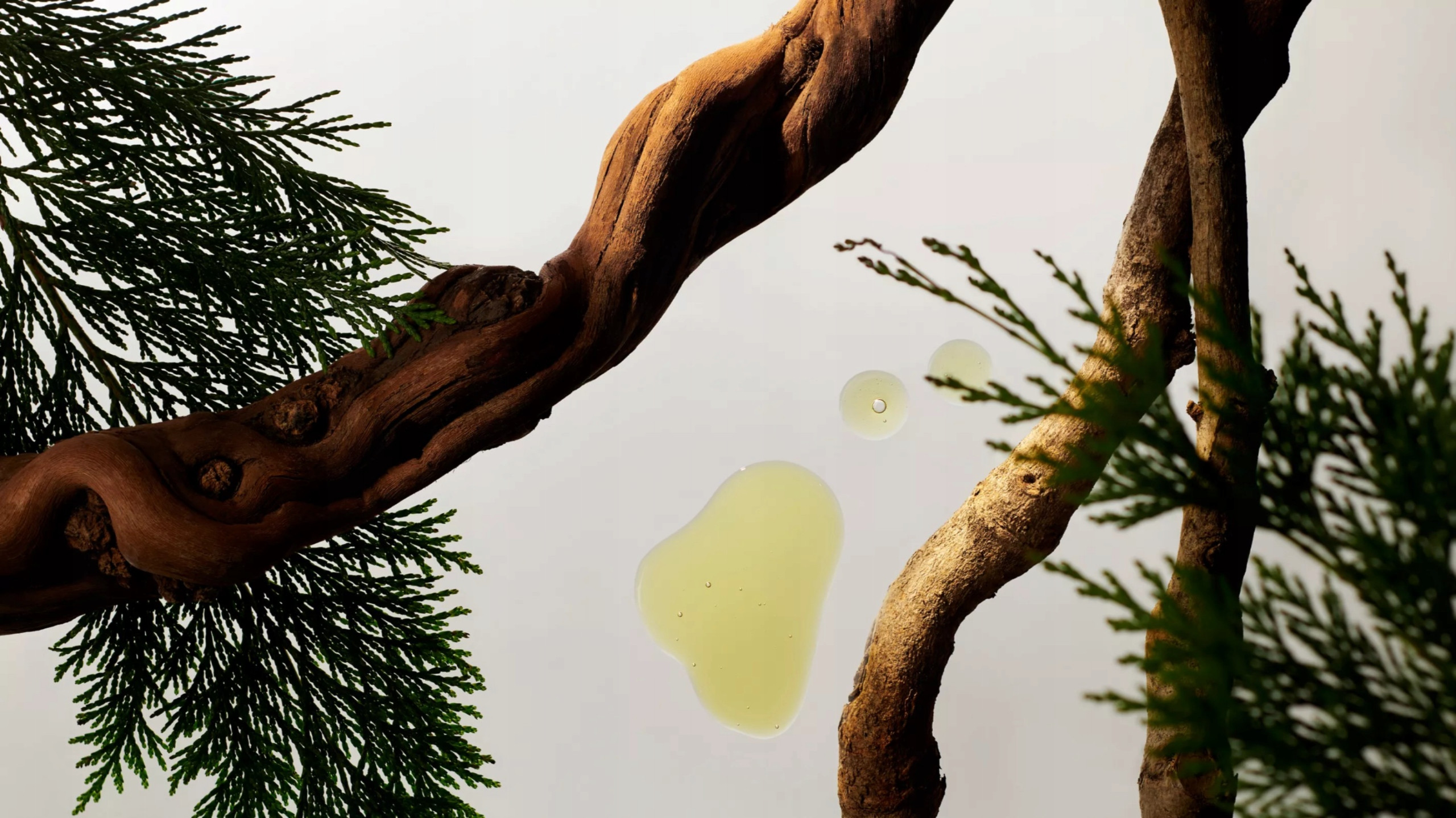 Naturalne składniki: bambus, japońska mięta i drzewo cedrowe